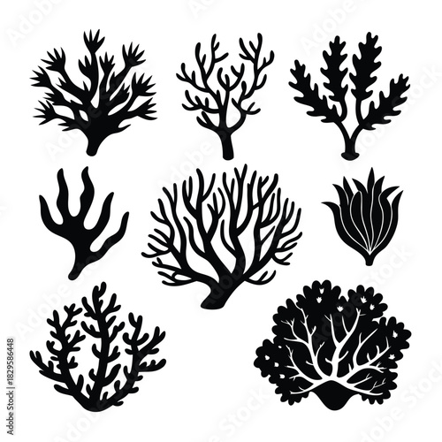 Different coral shapes display bold silhouettes, creating a captivating underwater plant collection against white