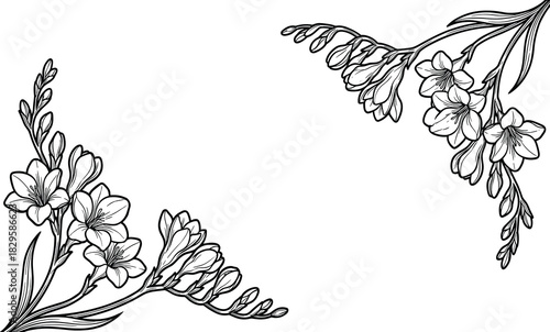 Graceful freesia flower corner design with delicate blossoms and flowing stems