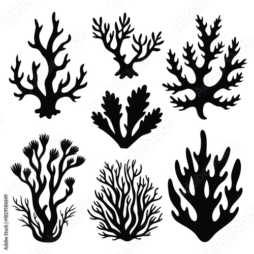 Various silhouettes of sea corals showcase the beauty and diversity under the ocean's surface