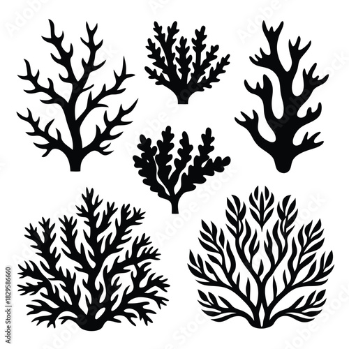 Various black silhouettes of sea coral offer a collection of diverse underwater flora
