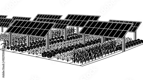 Illustration of solar panels installed above crops in an agricultural setting