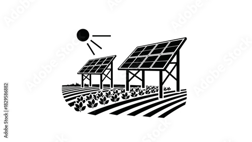 Agrivoltaics system showing solar panels above cultivated crop field
