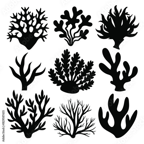 Different coral silhouettes showcase the diverse forms found in the ocean's ecosystems