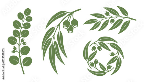 Collection of various eucalyptus leaf and gumnut arrangements, ideal for creating patterns or natural-themed graphics