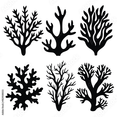 Six black coral silhouettes stand elegantly against the pure white background, showing aquatic vegetation