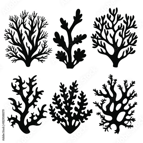 Six black silhouette shapes of algae or seaweed are displayed on the white background