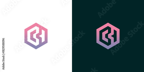 Modern Hexagon Logo Design Abstract Geometric Icon for Branding and Corporate Identity