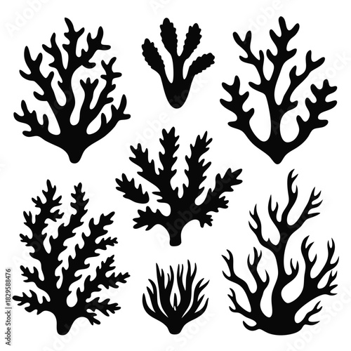 Various black coral silhouettes display unique branch structures against the white background, forming diverse shapes