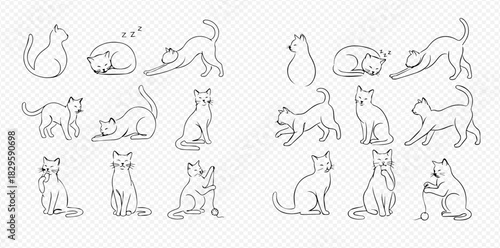 Set of nine minimalist line art cat illustrations in various poses including sitting, sleeping, stretching, and playing.