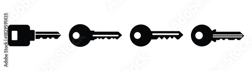 Set of vector password key icon. Business silhouette icons