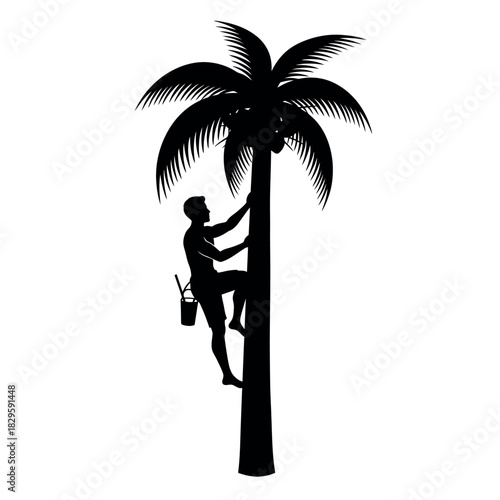 Man climbing coconut tree silhouette.