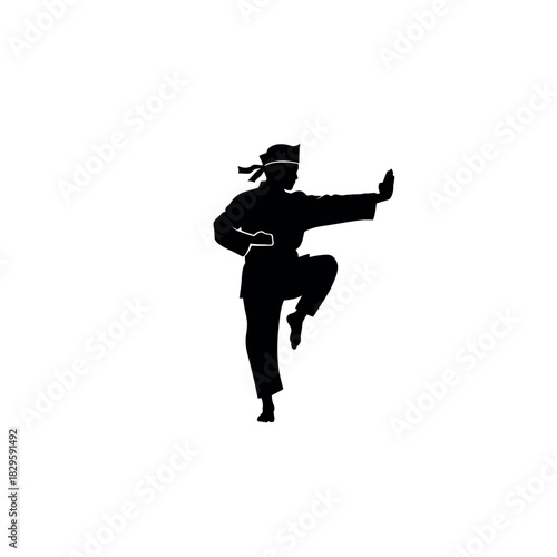 Martial Arts Silhouette of a Fighter in a Dynamic Pose.