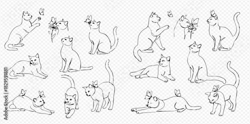 Collection of various line art cat drawings in different poses, some interacting with butterflies, on a transparent background.