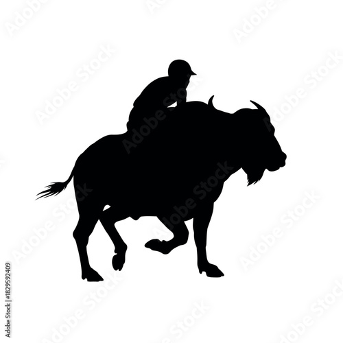 Silhouette of a person riding a bull.