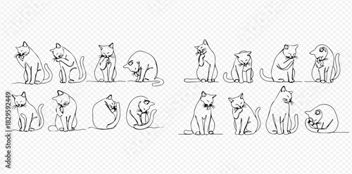 Set of minimalist continuous line art illustrations depicting various domestic cat poses and actions like sitting, grooming, and sleeping.