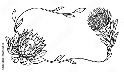 Black and white protea flower frame with stylized leaves and elegant curved stems