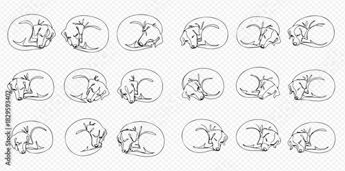 Line art drawings of dogs sleeping curled up in various positions on a transparent background.