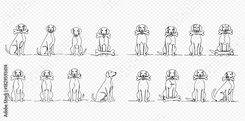 Continuous line art drawings of various dogs in different poses, some holding bones, on a transparent background.