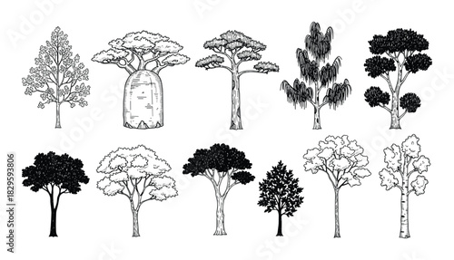 Collection of various hand drawn tree illustrations featuring different species and styles