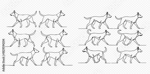 Continuous line art drawing of a dog walking animation sequence.