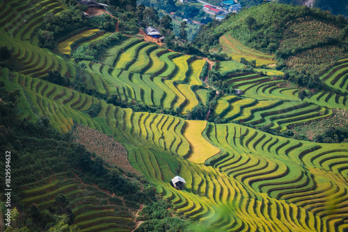 rice terraces in Mu Cang Chai, Vietnam