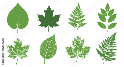 A collection of diverse green leaf illustrations with both clean and distressed textures, perfect for nature and environmental designs.