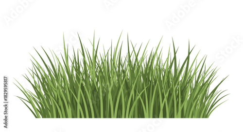 A vibrant illustration of a dense, fresh green grass patch with varied blade heights and subtle textures, isolated on a pure white background.