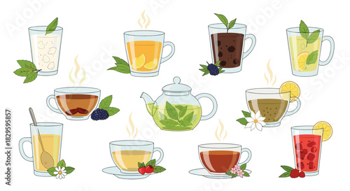 A collection of colorful and flavorful tea illustrations, featuring hot and cold beverages with various fruits, herbs, and flowers.