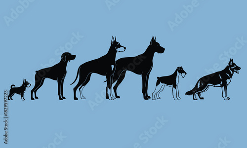 Black silhouette set of various dog breeds, illustrating different sizes and characteristics of domestic dogs, isolated on a light blue background.