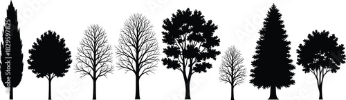 Set of black tree silhouettes, vector collection of forest plants, isolated nature elements on white background, pine, oak, winter.