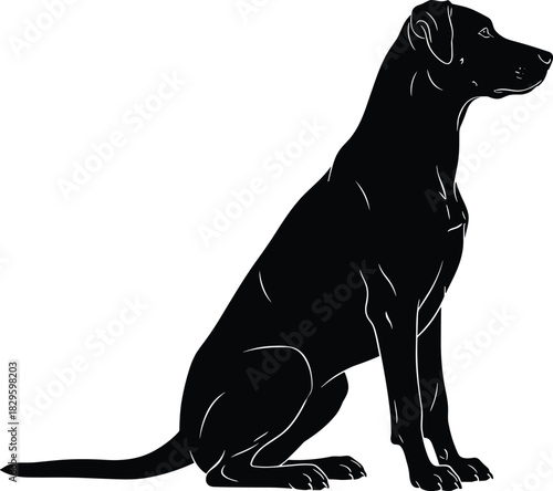 That's a great image for stock! Here are the title and keywords you requested, formatted for Adobe Stock SEO.