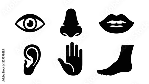 Six black icons representing the five senses and a foot.