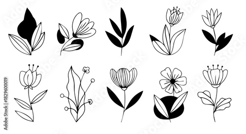 Collection of stylized black and white flower illustrations featuring leaves, buds and stems in multiple simple botanical sketches.