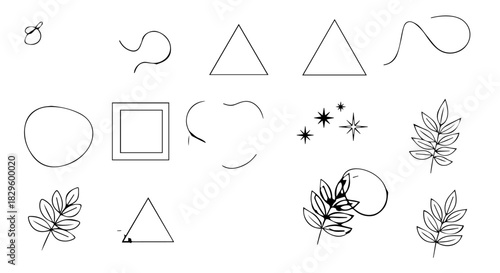Collection of hand drawn geometric shapes and botanical doodles for design and illustration.