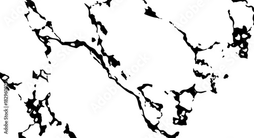 White Marble with Black Veins Textured Background.