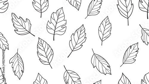 Hand drawn leaf pattern with delicate veins on a white background