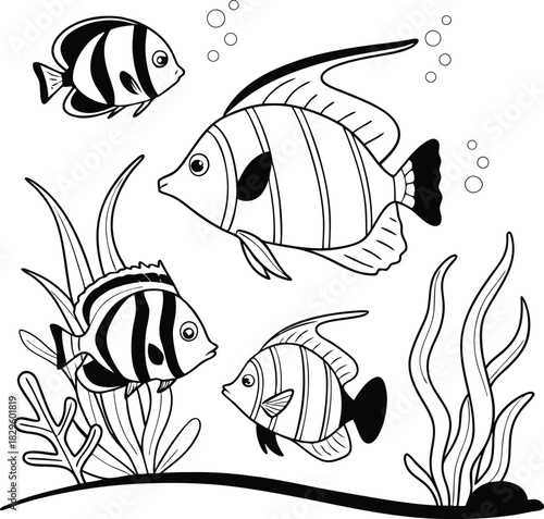 Four black and white striped fish swimming with seaweed and bubbles