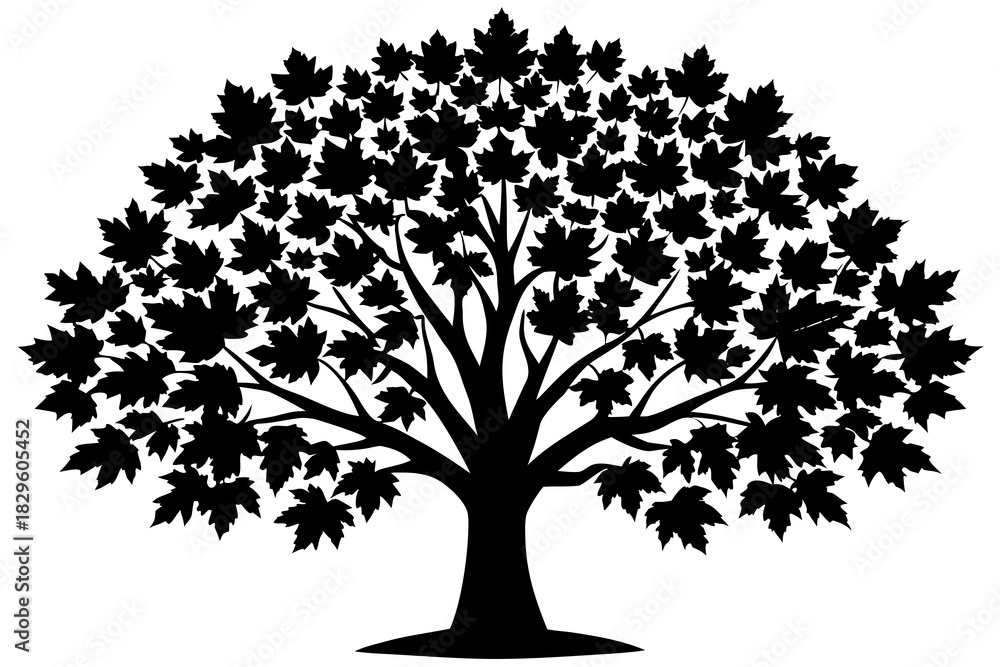 Fototapeta premium Black silhouette of a maple tree with many leaves on a white background vector