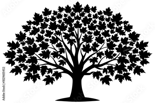 Black silhouette of a maple tree with many leaves on a white background vector