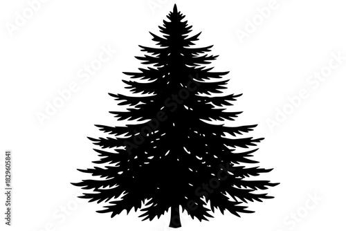 Black silhouette of a pine tree on a white background evergreen conifer