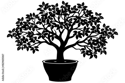 Black silhouette of a leafy tree in a pot on a white background potted tree