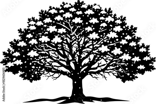 Black silhouette of a large deciduous tree with detailed branches and leaves against a white background