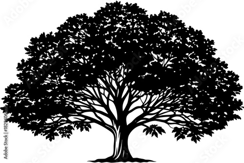 Black silhouette of a large deciduous tree with a full canopy of leaves and spreading branches on a white background