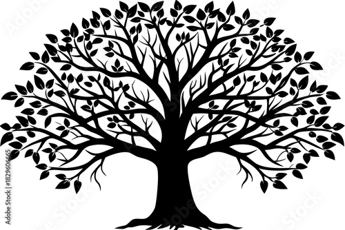 Black silhouette of a large tree with spreading branches and leaves on a white background vector