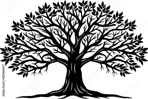 Black silhouette of a large tree with spreading branches and leaves on a white background tree silhouette