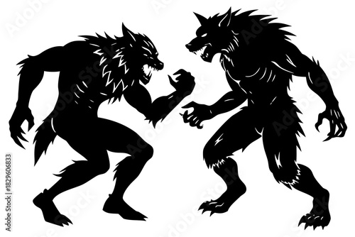 Two black silhouette werewolves snarling and fighting on white background werewolf monster