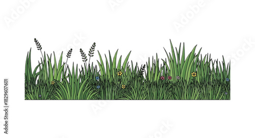 green grass isolated on white