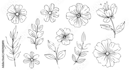Collection of hand-drawn botanical flower sketches and stems in line art.