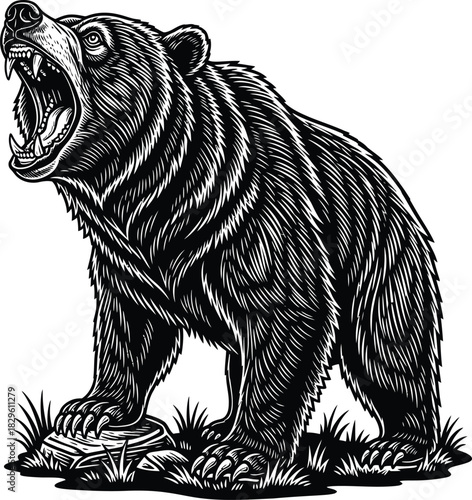 Angry bear roaring illustration black and white vector animal design eps silhouette