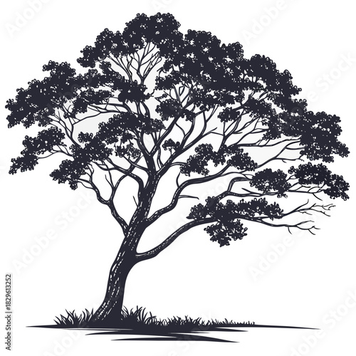 A solitary detailed silhouette of a mature tree with a sprawling canopy and textured bark set against a clean white background with a hint of grass at its base